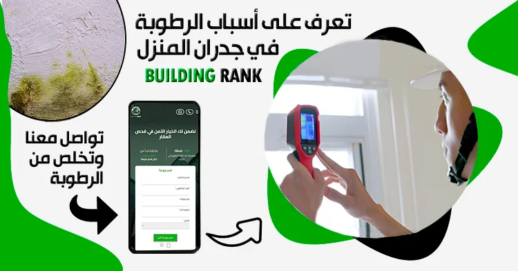 سوشيال ميديا